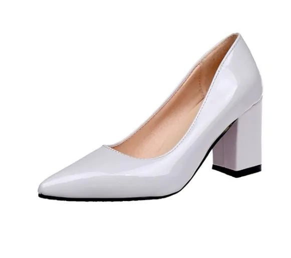 Women's Sexy Mid Heel Pointed Toe Shoes